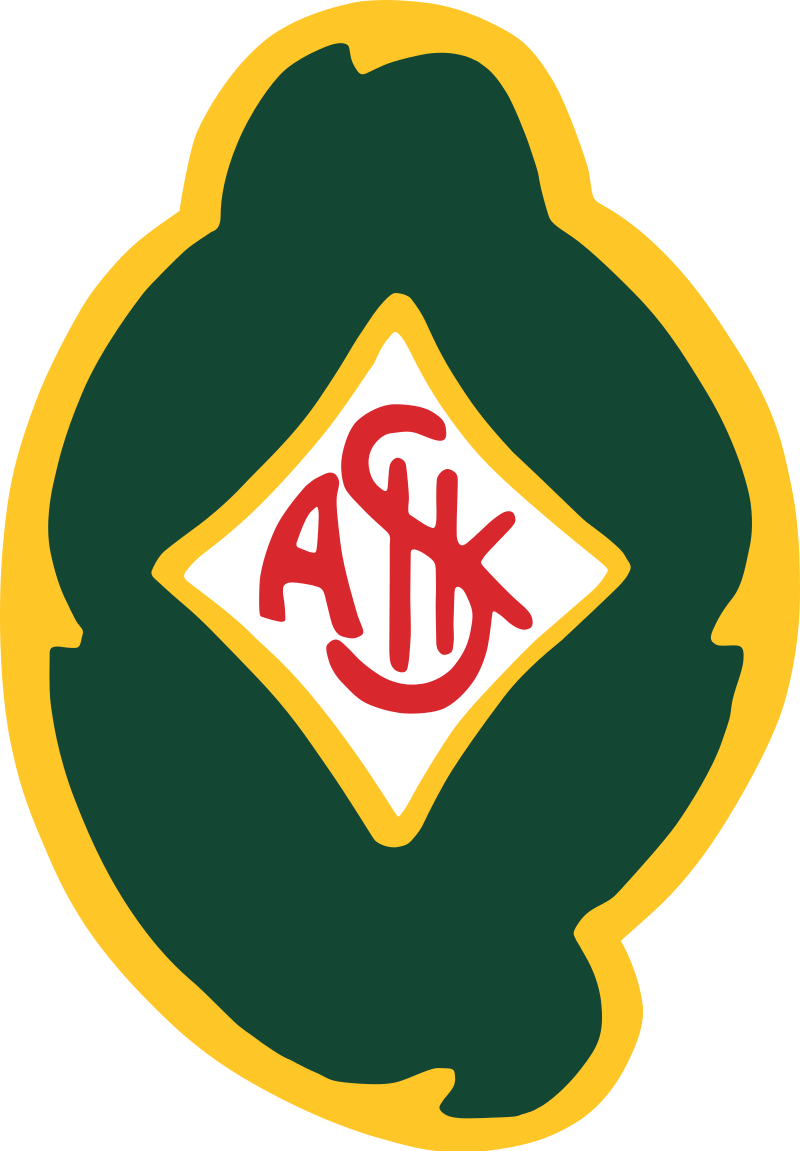 Skoevde AIK